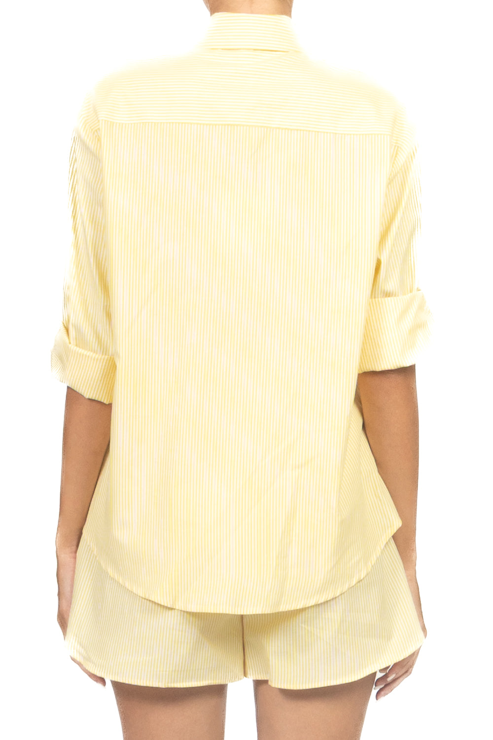 Tensione In - Camicia gessata con applicazioni Art. 26C5509