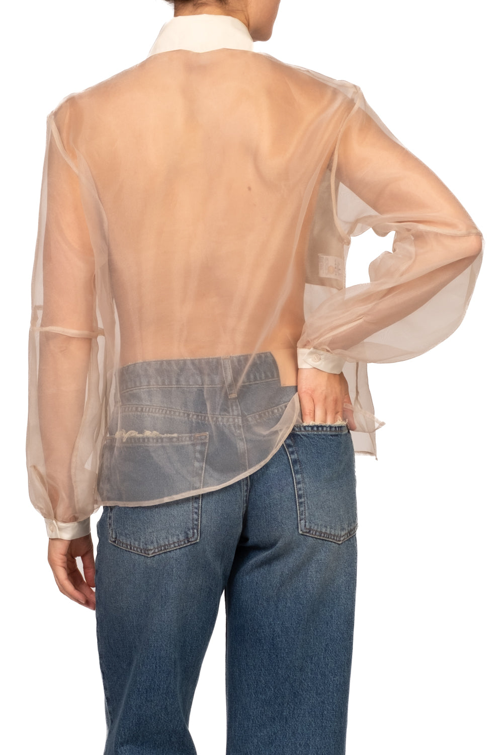 Dixie - Camicia in organza con banda Art. CFSTDLP