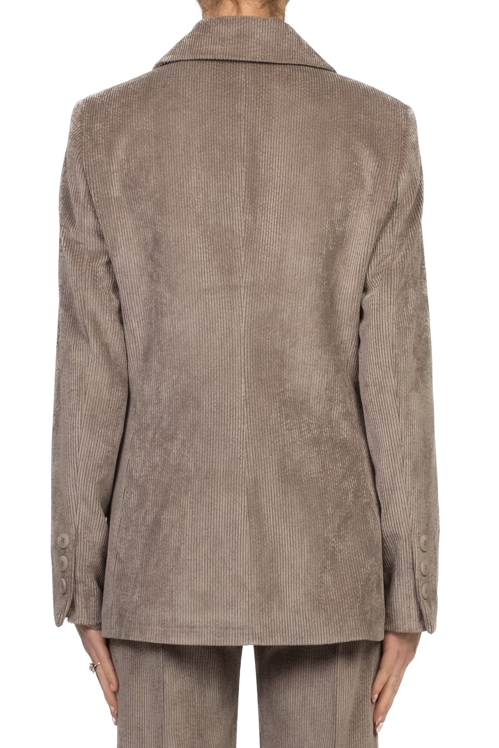 Tensione In - Giacca un bottone velluto millerighe Art. GH76VE-AI25